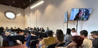 Cine, Audiovisual, Libro y Lectura, Ejes de las Mesas Cuatro y Cinco del Encuentro “Comunidades Artísticas, Patrimonio y Memoria” - AlternativaTlx