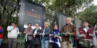 “Estudios Churubusco y sus Trabajadores: 80 Años Contando Historias” se Inaugura en las Rejas del Bosque de Chapultepec - AlternativaTlx