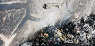 Posicionamiento del OCPA Ante Los Reportes de Un Perro Quemado en la Ciudad de Tlaxcala - AlternativaTlx