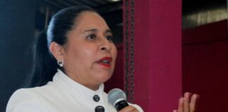 Respalda Ana Lilia Rivera Acciones del Gobierno de México en Accidente de Tren Interoceánico - AlternativaTlx