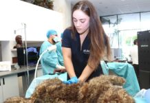Ser Veterinario UAG es Proteger la Salud de un Planeta Interconectado - AlternativaTlx