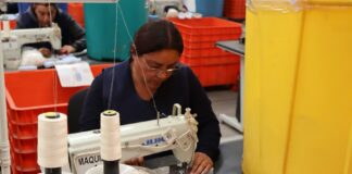 Tlaxcala Alcanza Nueva Cifra Histórica en Empleo Formal: IMSS - AlternativaTlx