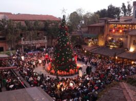 Val’Quirico da Inicio Oficial a las Fiestas Decembrinas con el Tradicional Encendido del Árbol de Navidad - AlternativaTlx