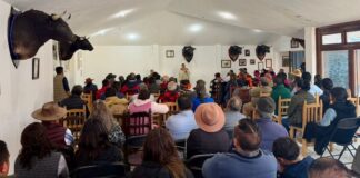 Ana Lilia Rivera Respalda a Sheinbaum y Llama a Cerrar Filas por la Soberanía Nacional - AlternativaTlx