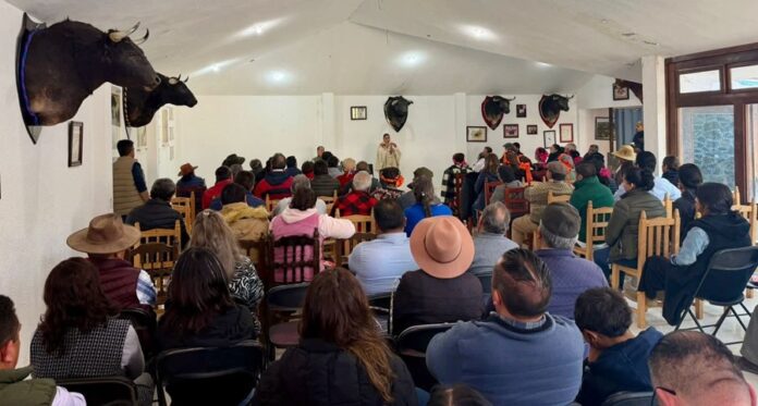 Ana Lilia Rivera Respalda a Sheinbaum y Llama a Cerrar Filas por la Soberanía Nacional - AlternativaTlx