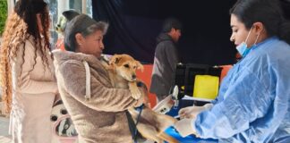 Con Amplia Participación Ciudadana Arrancó en Santa María Ixtulco la Campaña de Esterilización Gratuita Canina y Felina - AlternativaTlx