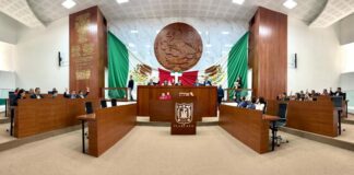 Congelada la Reforma Constitucional para Reconocer a los Animales como Seres Sintientes en Tlaxcala - AlternativaTlx