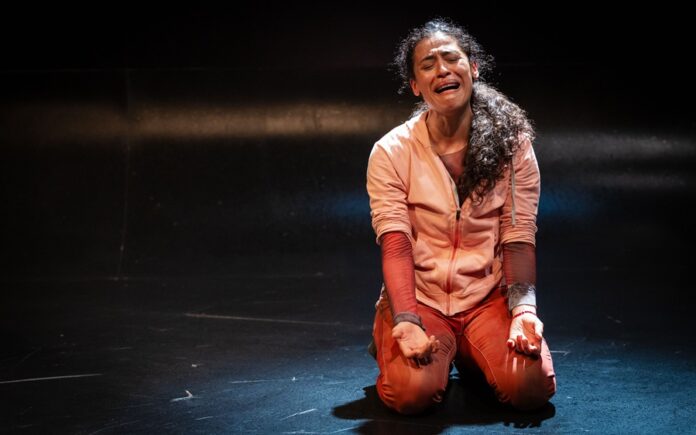 Hasta Encontrarte, el Unipersonal de Vicky Araico sobre las Madres Buscadoras, Regresa a Teatro UNAM - AlternativaTlx