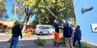 Mejora la Seguridad Ayuntamiento de Tlaxcala en Bulevar Mariano Sánchez con Trabajos de Mantenimiento - AlternativaTlx