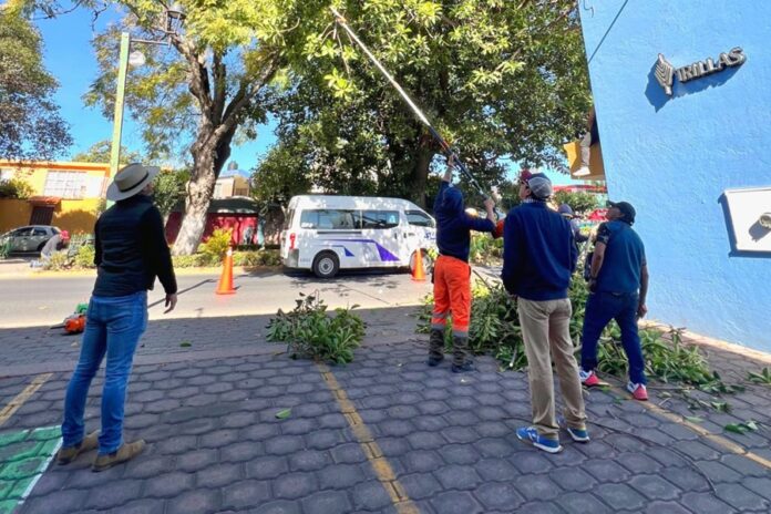 Mejora la Seguridad Ayuntamiento de Tlaxcala en Bulevar Mariano Sánchez con Trabajos de Mantenimiento - AlternativaTlx