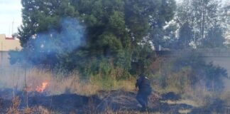 Policías Municipales de Tlaxcala Sofocan Incendio cerca de una Institución Educativa - AlternativaTlx
