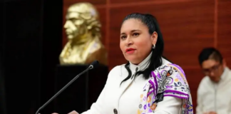Reconoce Ana Lilia Rivera Avance en el Diálogo entre México y Estados Unidos - AlternativaTlx