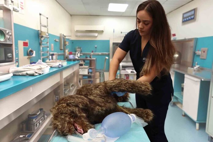 Conviértete en un Pilar Fundamental en la Protección de la Vida en el Planeta - AlternativaTlx