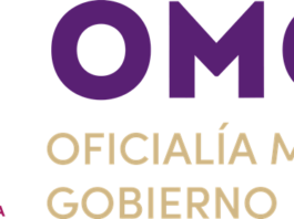 Eréndira Garay Salas, Será la Encargada del Despacho de la Oficialía Mayor de Gobierno - AlternativaTlx