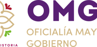 Eréndira Garay Salas, Será la Encargada del Despacho de la Oficialía Mayor de Gobierno - AlternativaTlx